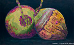 Two Coconuts  #MSC-082,  Original Acrylic on Canvas: 36  x 60 inches   $4200-,  Sold;  Stretched and Gallery Wrapped Limited Edition Archival Print on Canvas: 36  x 60 inches     $1590-.  Custom   sizes, colors, and commissions are also available.  For more information or to order, please visit our  ABOUT  page or call us at 561-691-1110.