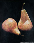 Two Pears  #MSC-094,  Original Acrylic on Canvas: 48  x  60 inches   $4800;  Stretched and Gallery Wrapped Limited Edition Archival Print on Canvas: 40 x 50 inches   $1560.  Custom  sizes, colors, and commissions are also available.  For more information or to order, please visit our ABOUT page or call us at   561-691-1110.