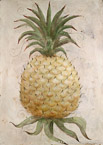 Pineapple  #NFR-001,  Original Acrylic on Canvas: 48  x 68 inches   $3600-,  Sold;  Stretched and Gallery Wrapped Limited Edition Archival Print on Canvas: 40  x 56 inches     $1590-.  Custom   sizes, colors, and commissions are also available.  For more information or to order, please visit our  ABOUT  page or call us at 561-691-1110.