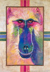 Baboon  #ANF-075,  Original Acrylic on Canvas: 48  x  68 inches   $4500;  Stretched and Gallery Wrapped Limited Edition Archival Print on Canvas: 40 x 56 inches   $1590.  Custom  sizes, colors, and commissions are also available.  For more information or to order, please visit our ABOUT page or call us at   561-691-1110.