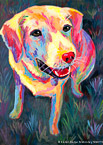 Yellow Dog  #ANF-049,  Original Acrylic on Canvas: 30” x 40”   $4200;  Stretched and Gallery Wrapped Limited Edition Archival Print on Canvas: 40” x 56”   $1590.  Custom  sizes, colors, and commissions are also available.  For more information or to order, please visit our “About” page or call us at 561-691-1110.