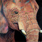 Elephant  #BBB-079,  Original Acrylic on Canvas: 65  x  65 inches   $11700;  Stretched and Gallery Wrapped Limited Edition Archival Print on Canvas: 40 x 40 inches   $1500.  Custom  sizes, colors, and commissions are also available.  For more information or to order, please visit our ABOUT page or call us at   561-691-1110.