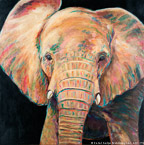 Elephant  #BBB-081,  Original Acrylic on Canvas: 65  x  65 inches   $11700;  Stretched and Gallery Wrapped Limited Edition Archival Print on Canvas: 40 x 40 inches   $1500.  Custom  sizes, colors, and commissions are also available.  For more information or to order, please visit our ABOUT page or call us at   561-691-1110.