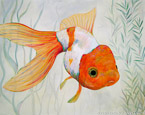 Goldfish  #ANF-054,  Original Acrylic on Canvas: 48  x  60 inches   $10200;  Stretched and Gallery Wrapped Limited Edition Archival Print on Canvas: 40 x 50 inches   $1560.  Custom  sizes, colors, and commissions are also available.  For more information or to order, please visit our ABOUT page or call us at   561-691-1110.