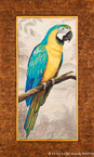 Parrot  #FBI-001,  Original Acrylic on Canvas: 36  x  60 inches   $2700;  Stretched and Gallery Wrapped Limited Edition Archival Print on Canvas: 36 x 60 inches   $1590.  Custom  sizes, colors, and commissions are also available.  For more information or to order, please visit our ABOUT page or call us at   561-691-1110.