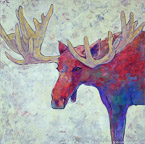 Red Moose  #ANF-083,  Original Acrylic on Canvas: 65  x  65 inches   $7800;  Stretched and Gallery Wrapped Limited Edition Archival Print on Canvas: 40 x 40 inches   $1500.  Custom  sizes, colors, and commissions are also available.  For more information or to order, please visit our ABOUT page or call us at   561-691-1110.