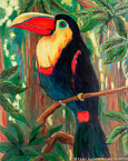 Toucan  #ANF-048,  Original Acrylic on Canvas: 48  x 60 inches,  Sold;  Stretched and Gallery Wrapped Limited Edition Archival Print on Canvas: 40  x 50 inches     $1560-.  Custom   sizes, colors, and commissions are also available.  For more information or to order, please visit our  ABOUT  page or call us at 561-691-1110.