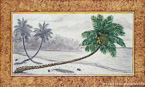 Coconut Palm  #FPA-010,  Original Acrylic on Canvas: 36  x 60 inches   $;  Stretched and Gallery Wrapped Limited Edition Archival Print on Canvas: 36 x 60 inches   $1590.  Custom  sizes, colors, and commissions are also available.  For more information or to order, please visit our ABOUT page or call us at   561-691-1110.