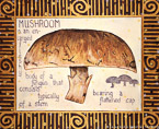 Mushroom  #FFV-049,  Original Acrylic on Canvas: 48  x  60 inches   $2100;  Stretched and Gallery Wrapped Limited Edition Archival Print on Canvas: 40 x 50 inches   $1560.  Custom  sizes, colors, and commissions are also available.  For more information or to order, please visit our ABOUT page or call us at   561-691-1110.