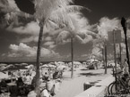Tropical Beach, Fort Lauderdale #YNS-146.  Infrared Photograph,  Stretched and Gallery Wrapped, Limited Edition Archival Print on Canvas:  56 x 40 inches, $1590.  Custom Proportions and Sizes are Available.  For more information or to order please visit our ABOUT page or call us at 561-691-1110.