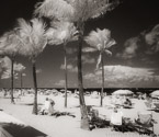 Tropical Beach, Fort Lauderdale #YNS-154.  Infrared Photograph,  Stretched and Gallery Wrapped, Limited Edition Archival Print on Canvas:  48 x 44 inches, $1530.  Custom Proportions and Sizes are Available.  For more information or to order please visit our ABOUT page or call us at 561-691-1110.
