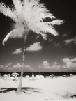 Tropical Beach, Fort Lauderdale #YNS-158.  Infrared Photograph,  Stretched and Gallery Wrapped, Limited Edition Archival Print on Canvas:  40 x 56 inches, $1590.  Custom Proportions and Sizes are Available.  For more information or to order please visit our ABOUT page or call us at 561-691-1110.