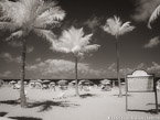 Tropical Beach, Fort Lauderdale #YNS-159.  Infrared Photograph,  Stretched and Gallery Wrapped, Limited Edition Archival Print on Canvas:  56 x 40 inches, $1590.  Custom Proportions and Sizes are Available.  For more information or to order please visit our ABOUT page or call us at 561-691-1110.