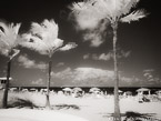 Tropical Beach, Fort Lauderdale #YNS-163.  Infrared Photograph,  Stretched and Gallery Wrapped, Limited Edition Archival Print on Canvas:  56 x 40 inches, $1590.  Custom Proportions and Sizes are Available.  For more information or to order please visit our ABOUT page or call us at 561-691-1110.