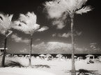Tropical Beach, Fort Lauderdale #YNS-163.  Infrared Photograph,  Stretched and Gallery Wrapped, Limited Edition Archival Print on Canvas:  56 x 40 inches, $1590.  Custom Proportions and Sizes are Available.  For more information or to order please visit our ABOUT page or call us at 561-691-1110.