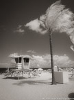 Tropical Beach, Fort Lauderdale #YNS-174.  Infrared Photograph,  Stretched and Gallery Wrapped, Limited Edition Archival Print on Canvas:  40 x 56 inches, $1590.  Custom Proportions and Sizes are Available.  For more information or to order please visit our ABOUT page or call us at 561-691-1110.