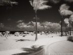 Tropical Beach, Fort Lauderdale #YNS-175.  Infrared Photograph,  Stretched and Gallery Wrapped, Limited Edition Archival Print on Canvas:  50 x 40 inches, $1560.  Custom Proportions and Sizes are Available.  For more information or to order please visit our ABOUT page or call us at 561-691-1110.