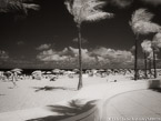 Tropical Beach, Fort Lauderdale #YNS-175.  Infrared Photograph,  Stretched and Gallery Wrapped, Limited Edition Archival Print on Canvas:  50 x 40 inches, $1560.  Custom Proportions and Sizes are Available.  For more information or to order please visit our ABOUT page or call us at 561-691-1110.