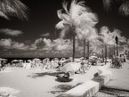Tropical Beach, Fort Lauderdale #YNS-181.  Infrared Photograph,  Stretched and Gallery Wrapped, Limited Edition Archival Print on Canvas:  56 x 40 inches, $1590.  Custom Proportions and Sizes are Available.  For more information or to order please visit our ABOUT page or call us at 561-691-1110.