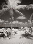 Tropical Beach, Fort Lauderdale #YNS-183.  Infrared Photograph,  Stretched and Gallery Wrapped, Limited Edition Archival Print on Canvas:  40 x 56 inches, $1590.  Custom Proportions and Sizes are Available.  For more information or to order please visit our ABOUT page or call us at 561-691-1110.
