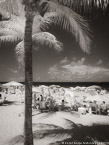 Tropical Beach, Fort Lauderdale #YNS-186.  Infrared Photograph,  Stretched and Gallery Wrapped, Limited Edition Archival Print on Canvas:  40 x 56 inches, $1590.  Custom Proportions and Sizes are Available.  For more information or to order please visit our ABOUT page or call us at 561-691-1110.