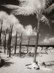 Tropical Beach, Fort Lauderdale #YNS-193.  Infrared Photograph,  Stretched and Gallery Wrapped, Limited Edition Archival Print on Canvas:  40 x 56 inches, $1590.  Custom Proportions and Sizes are Available.  For more information or to order please visit our ABOUT page or call us at 561-691-1110.