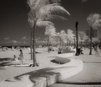 Tropical Beach, Fort Lauderdale #YNS-204.  Infrared Photograph,  Stretched and Gallery Wrapped, Limited Edition Archival Print on Canvas:  48 x 44 inches, $1530.  Custom Proportions and Sizes are Available.  For more information or to order please visit our ABOUT page or call us at 561-691-1110.