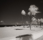 Tropical Beach, Fort Lauderdale #YNS-205.  Infrared Photograph,  Stretched and Gallery Wrapped, Limited Edition Archival Print on Canvas:  40 x 44 inches, $1530.  Custom Proportions and Sizes are Available.  For more information or to order please visit our ABOUT page or call us at 561-691-1110.