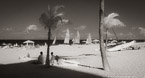 Tropical Beach, Fort Lauderdale #YNS-207.  Infrared Photograph,  Stretched and Gallery Wrapped, Limited Edition Archival Print on Canvas:  68 x 40 inches, $1620.  Custom Proportions and Sizes are Available.  For more information or to order please visit our ABOUT page or call us at 561-691-1110.