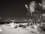 Tropical Beach, Fort Lauderdale #YNS-208.  Infrared Photograph,  Stretched and Gallery Wrapped, Limited Edition Archival Print on Canvas:  50 x 40 inches, $1560.  Custom Proportions and Sizes are Available.  For more information or to order please visit our ABOUT page or call us at 561-691-1110.