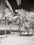 Tropical Beach, Jupiter  #YNS-211.  Infrared Photograph,  Stretched and Gallery Wrapped, Limited Edition Archival Print on Canvas:  40 x 56 inches, $1590.  Custom Proportions and Sizes are Available.  For more information or to order please visit our ABOUT page or call us at 561-691-1110.