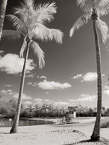 Tropical Beach, Jupiter  #YNS-212.  Infrared Photograph,  Stretched and Gallery Wrapped, Limited Edition Archival Print on Canvas:  40 x 56 inches, $1590.  Custom Proportions and Sizes are Available.  For more information or to order please visit our ABOUT page or call us at 561-691-1110.