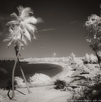 Tropical Beach, Florida Keys #YNS-301.  Infrared Photograph,  Stretched and Gallery Wrapped, Limited Edition Archival Print on Canvas:  40 x 40 inches, $1500.  Custom Proportions and Sizes are Available.  For more information or to order please visit our ABOUT page or call us at 561-691-1110.