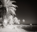 Tropical Beach, Florida Keys #YNS-308.  Infrared Photograph,  Stretched and Gallery Wrapped, Limited Edition Archival Print on Canvas:  48 x 40 inches, $1560.  Custom Proportions and Sizes are Available.  For more information or to order please visit our ABOUT page or call us at 561-691-1110.