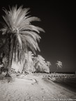 Tropical Beach, Florida Keys #YNS-309.  Infrared Photograph,  Stretched and Gallery Wrapped, Limited Edition Archival Print on Canvas:  40 x 56 inches, $1590.  Custom Proportions and Sizes are Available.  For more information or to order please visit our ABOUT page or call us at 561-691-1110.