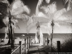 Tropical Beach, Key West #YNS-310.  Infrared Photograph,  Stretched and Gallery Wrapped, Limited Edition Archival Print on Canvas:  56 x 40 inches, $1590.  Custom Proportions and Sizes are Available.  For more information or to order please visit our ABOUT page or call us at 561-691-1110.