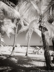 Tropical Beach, Key West #YNS-311.  Infrared Photograph,  Stretched and Gallery Wrapped, Limited Edition Archival Print on Canvas:  40 x 56 inches, $1590.  Custom Proportions and Sizes are Available.  For more information or to order please visit our ABOUT page or call us at 561-691-1110.