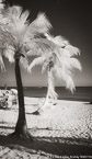 Tropical Beach, Key West #YNS-312.  Infrared Photograph,  Stretched and Gallery Wrapped, Limited Edition Archival Print on Canvas:  40 x 68 inches, $1620.  Custom Proportions and Sizes are Available.  For more information or to order please visit our ABOUT page or call us at 561-691-1110.
