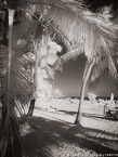 Tropical Beach, Key West #YNS-313.  Infrared Photograph,  Stretched and Gallery Wrapped, Limited Edition Archival Print on Canvas:  40 x 56 inches, $1590.  Custom Proportions and Sizes are Available.  For more information or to order please visit our ABOUT page or call us at 561-691-1110.