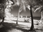Tropical Beach, Key West #YNS-314.  Infrared Photograph,  Stretched and Gallery Wrapped, Limited Edition Archival Print on Canvas:  56 x 40 inches, $1590.  Custom Proportions and Sizes are Available.  For more information or to order please visit our ABOUT page or call us at 561-691-1110.