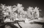 Tropical Beach, Key West #YNS-319.  Infrared Photograph,  Stretched and Gallery Wrapped, Limited Edition Archival Print on Canvas:  60 x 40 inches, $1590.  Custom Proportions and Sizes are Available.  For more information or to order please visit our ABOUT page or call us at 561-691-1110.