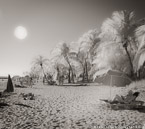 Tropical Beach, Key West #YNS-320.  Infrared Photograph,  Stretched and Gallery Wrapped, Limited Edition Archival Print on Canvas:  48 x 44 inches, $1530.  Custom Proportions and Sizes are Available.  For more information or to order please visit our ABOUT page or call us at 561-691-1110.