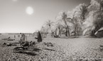 Tropical Beach, Key West #YNS-321.  Infrared Photograph,  Stretched and Gallery Wrapped, Limited Edition Archival Print on Canvas:  68 x 40 inches, $1620.  Custom Proportions and Sizes are Available.  For more information or to order please visit our ABOUT page or call us at 561-691-1110.
