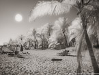 Tropical Beach, Key West #YNS-323.  Infrared Photograph,  Stretched and Gallery Wrapped, Limited Edition Archival Print on Canvas:  56 x 40 inches, $1590.  Custom Proportions and Sizes are Available.  For more information or to order please visit our ABOUT page or call us at 561-691-1110.