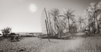 Tropical Beach, Key West #YNS-327.  Infrared Photograph,  Stretched and Gallery Wrapped, Limited Edition Archival Print on Canvas:  68 x 36 inches, $1620.  Custom Proportions and Sizes are Available.  For more information or to order please visit our ABOUT page or call us at 561-691-1110.