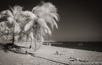Tropical Beach, Key West #YNS-328.  Infrared Photograph,  Stretched and Gallery Wrapped, Limited Edition Archival Print on Canvas:  60 x 40 inches, $1590.  Custom Proportions and Sizes are Available.  For more information or to order please visit our ABOUT page or call us at 561-691-1110.