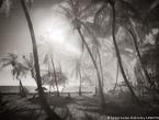 Tropical Beach, Key West #YNS-332.  Infrared Photograph,  Stretched and Gallery Wrapped, Limited Edition Archival Print on Canvas:  56 x 40 inches, $1590.  Custom Proportions and Sizes are Available.  For more information or to order please visit our ABOUT page or call us at 561-691-1110.