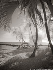 Tropical Beach, Key West #YNS-333.  Infrared Photograph,  Stretched and Gallery Wrapped, Limited Edition Archival Print on Canvas:  40 x 56 inches, $1590.  Custom Proportions and Sizes are Available.  For more information or to order please visit our ABOUT page or call us at 561-691-1110.