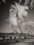 Tropical Beach, Key West #YNS-334.  Infrared Photograph,  Stretched and Gallery Wrapped, Limited Edition Archival Print on Canvas:  40 x 56 inches, $1590.  Custom Proportions and Sizes are Available.  For more information or to order please visit our ABOUT page or call us at 561-691-1110.