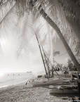 Tropical Beach, Key West #YNS-341.  Infrared Photograph,  Stretched and Gallery Wrapped, Limited Edition Archival Print on Canvas:  40 x 50 inches, $1560.  Custom Proportions and Sizes are Available.  For more information or to order please visit our ABOUT page or call us at 561-691-1110.